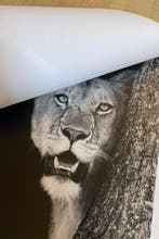 Marco Simoni -  20 hours f