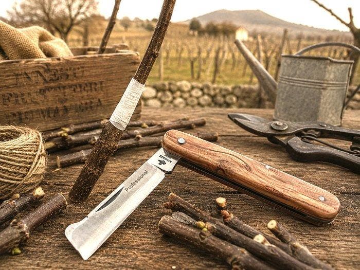 Fraraccio Fraraccio Professional – Coltello da Innesto, Antiek en Kunst, Antiek | Keukengerei