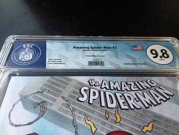 The Amazing Spider-Man (Vol. 7) #2 - Paolo Rivera Variant -