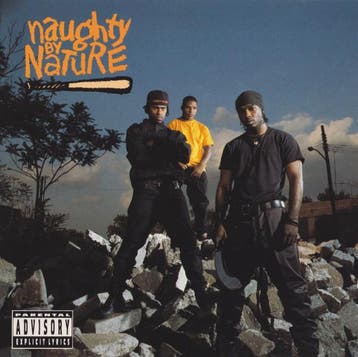 Naughty By Nature - Naughty By Nature, Verzenden, Gebruikt
