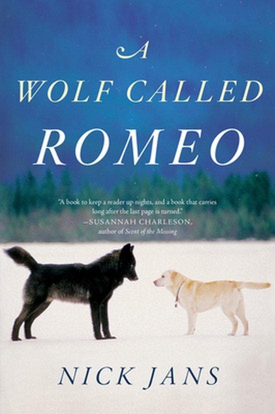 A Wolf Called Romeo 9780544228092 Nick Jans, Livres, Langue | Anglais, Envoi