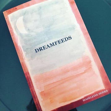 Dream feeds 9789082931709 Madeleine Hoeks, Verzenden, Madeleine Hoeks
