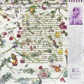 Prince And The Revolution - Purple Rain - Album LP (article