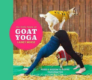 The Little Book of Goat Yoga 9781473698499 Lainey Morse, Verzenden, Gelezen, Lainey Morse