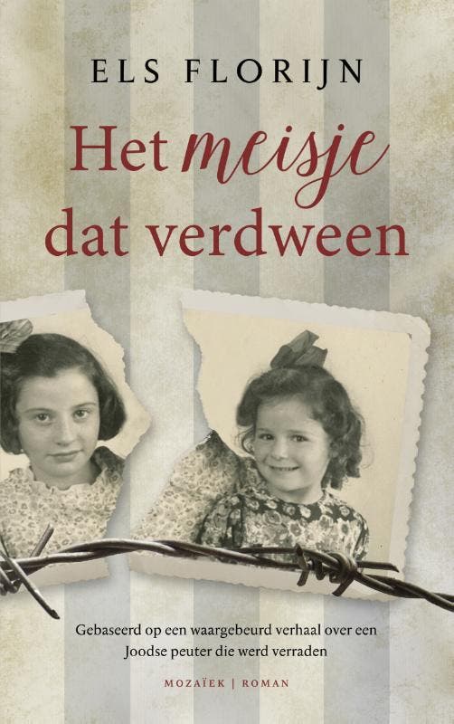 Het meisje dat verdween 9789023952015 Els Florijn, Boeken, Romans, Zo goed als nieuw, Verzenden