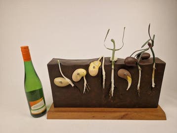 Anatomisch model - kunststof - 1960-1970 - Botanisch, Antiek en Kunst