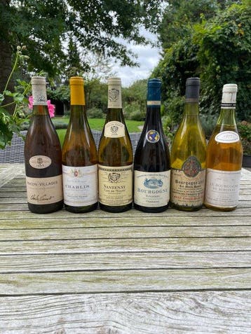 2006 1977, 1985 Bourgogne blanc, 2006 Santenay, 2005 Chablis