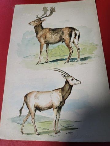 Manfredo Manfredini (1881-1907) - Animali, Antiek en Kunst