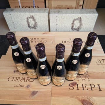2022 Tommasi - Amarone della Valpolicella DOCG - 6 Demi