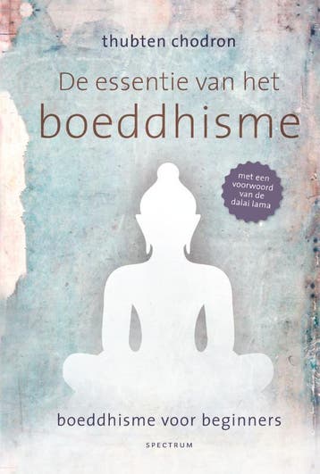 De essentie van het boeddhisme 9789000326884 Thubten Chodron, Verzenden, Gelezen, Thubten Chodron