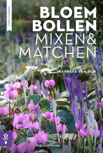Bloembollen mixen & matchen 9789462500273 Hanneke van Dijk, Verzenden, Zo goed als nieuw, Hanneke van Dijk