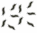 Tafeldecoratie Duizendpoten 10m 10st, Verzenden, Nieuw