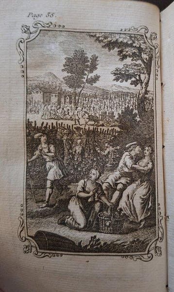 Longus - Les Amours de Daphnis et Chloé [ex-libris famille