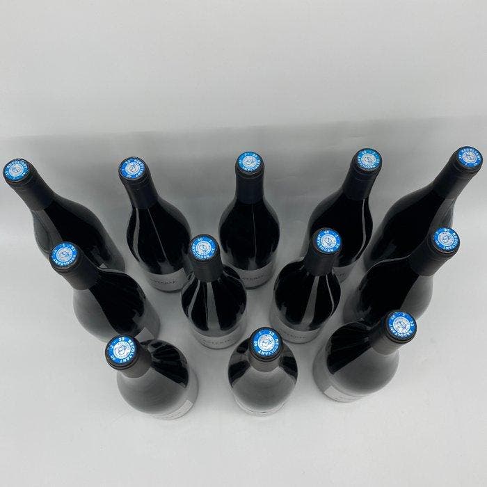 2020 Chateau Saint Marie Astérie - Gironde - 12 Flessen, Collections, Vins