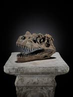 Geen veilingminimum - Een replica van een dinosaurusschedel