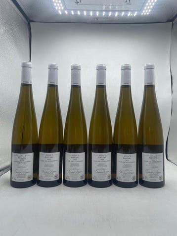 2022 Domaine Du Manoir Riesling Clos Du Letzenberg - Elzas, Nieuw