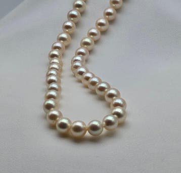 Sans prix de réserve - Collier - 18 carats Or blanc Perle -, Nieuw