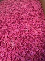 Lego Stenen - Lego platen bloemetjes 500 stuks, Nieuw
