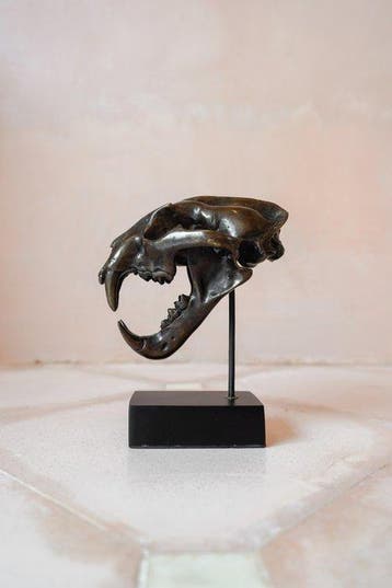 sculptuur, NO RESERVE PRICE - bronze Snow Leopard - 19.5 cm