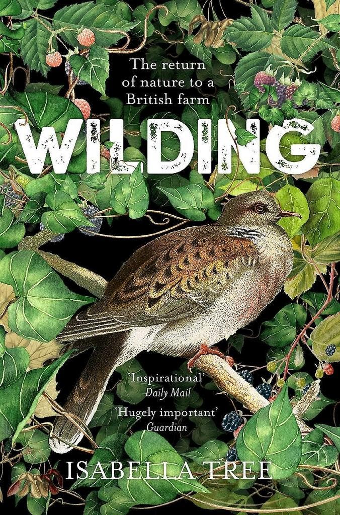 Wilding 9781509805105 Isabella Tree, Boeken, Taal | Engels, Gelezen, Verzenden
