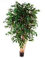 Kunstplant Ficus Multi 210 cm, Verzenden