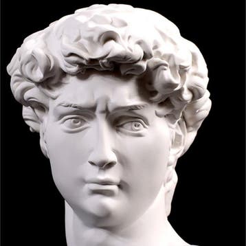David van Michelangelo - Hoofd Standbeeld Sculptuur Decor, Verzenden