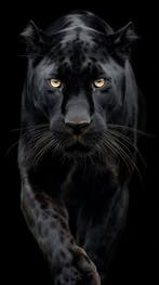 JD Paris - #3 - Wild Frimousses