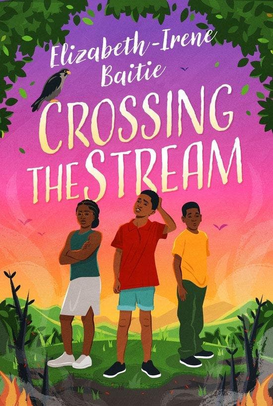 Crossing the Stream 9781913175467 Elizabeth-Irene Baitie, Boeken, Taal | Engels, Zo goed als nieuw, Verzenden