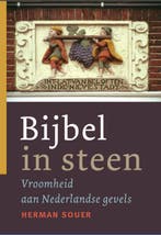 BIJBEL IN STEEN 9789089120083 H. Souer, Verzenden, H. Souer