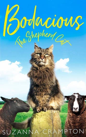 Bodacious 9780008275853 Suzanna Crampton, Verzenden, Suzanna Crampton