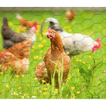 Kippengaas volieregaas konijnengaas - giardino hexagonaal