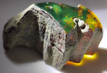 Mexicaanse barnsteen uit Chiapas!! AAA museumkwaliteit- 65 g