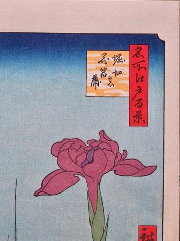 Iris Garden at Horikiri - Meisho Edo Hyakkei - Utagawa