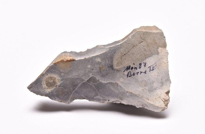 Mesolithisch / Epipaleolithisch Vuursteen Mesolithische, Antiek en Kunst, Antiek | Overige Antiek