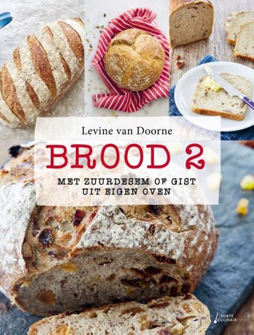 Brood 9789462502727 Levine van Doorne, Verzenden, Zo goed als nieuw, Levine van Doorne