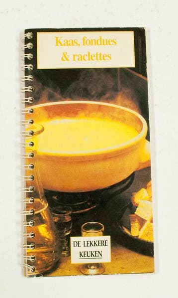 Kaas fondues & raclettes 9789054371717, Verzenden, Gelezen