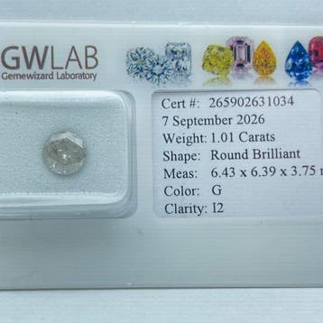 Zonder minimumprijs - 1 pcs Diamant (Natuurlijk) - 1.01 ct -