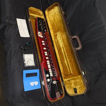 Suzuki - Electric Taishogoto (Taisho Harp, Nagoya Harp) ,, Nieuw