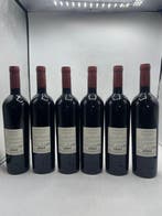 2021 Argiolas Turriga Isola Dei Nuraghi - Sardinia IGT - 6, Nieuw