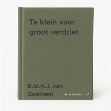Te klein voor groot verdriet 9789068200164, Verzenden, B.M.A.J. van Goethem