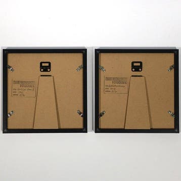 Frank Machalowski - Two framed Photographs - multiexpo