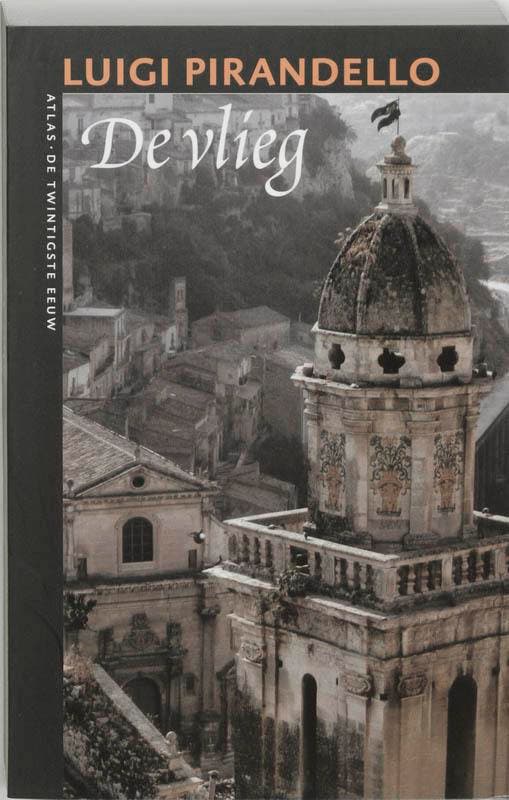 De vlieg / De twintigste eeuw / 40 9789045011066, Livres, Romans, Envoi