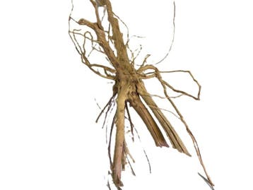Driftwood Selected  DW49 - 65x30x28cm (Small drift wood), Ophalen of Verzenden, Nieuw, Plant(en), Steen of Hout