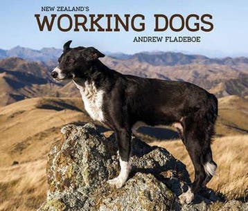 New Zealands Working Dogs 9781927213483 Andrew Fladeboe, Verzenden, Gelezen, Andrew Fladeboe