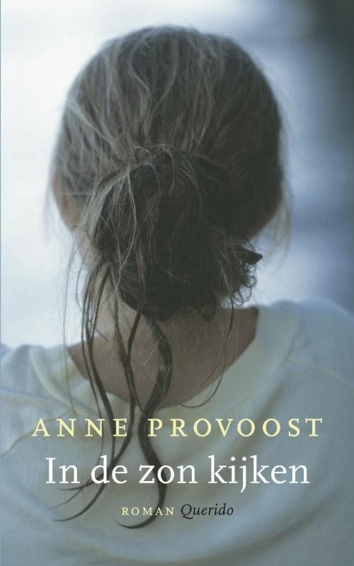 In de zon kijken 9789021434056 Anne Provoost, Boeken, Romans, Gelezen, Verzenden