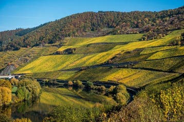 2007 Grans-Fassian, Piesporter Goldtropchen Riesling -