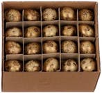 Kwarteleitjes goudwash doos 60 stuks uitgeblazen voor, Nieuw