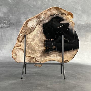 Magnifique tranche de bois pétrifié sur un socle