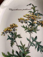 Villeroy & Boch - Tafelservies (2) - Botanica - Porselein