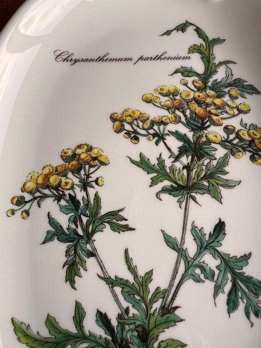 Villeroy & Boch - Tafelservies (2) - Botanica - Porselein, Antiek en Kunst, Antiek | Meubels | Tafels